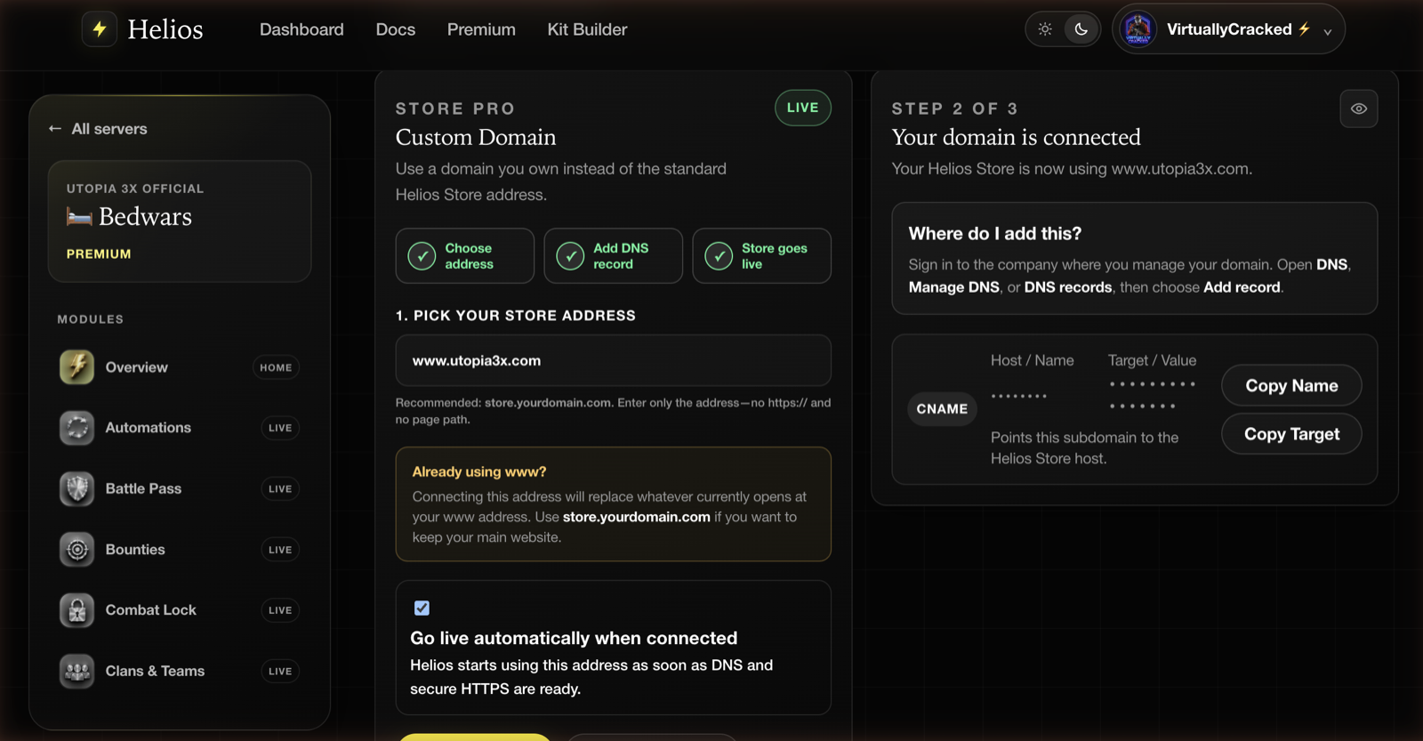 The Custom Domain panel showing the three setup steps and the DNS record to add